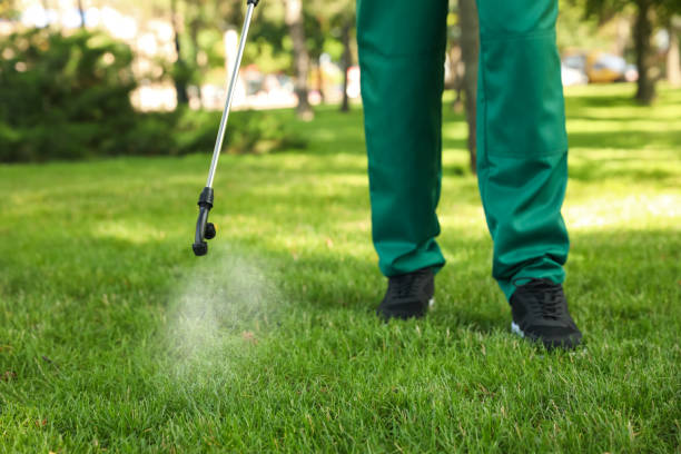 Best Local Pest Control Services  in Sedona, AZ