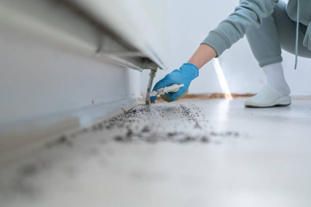 Sedona, AZ Pest Control Company